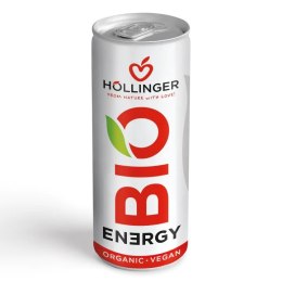 BIO Apfel-Brombeer-Energydrink 250ml